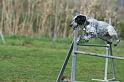 MayAgility (16)